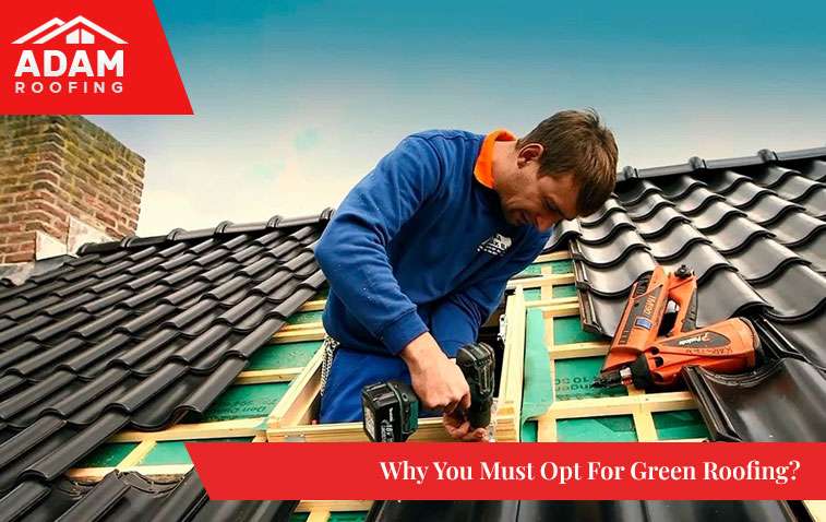Why You Must Opt For Green Roofing?