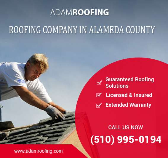 Type Of Roof Services